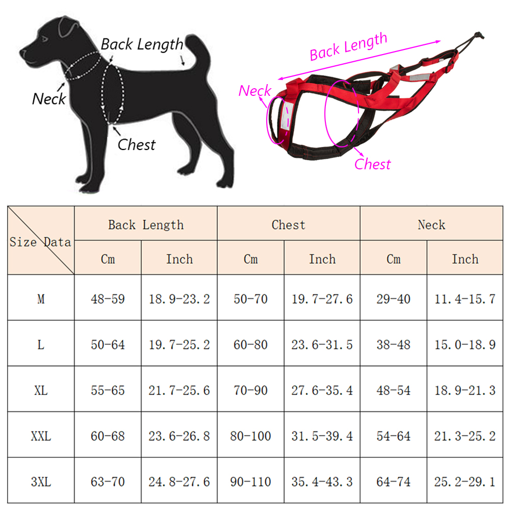 High Quality Big Dog Sledge Ha - Reflective Jacket Running recension och pris
