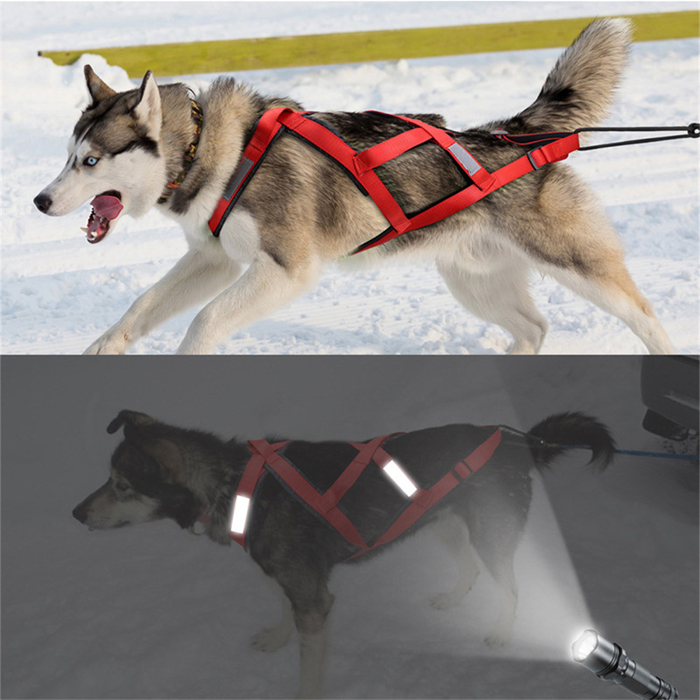 High Quality Big Dog Sledge Ha - Reflective Jacket Running recension och pris